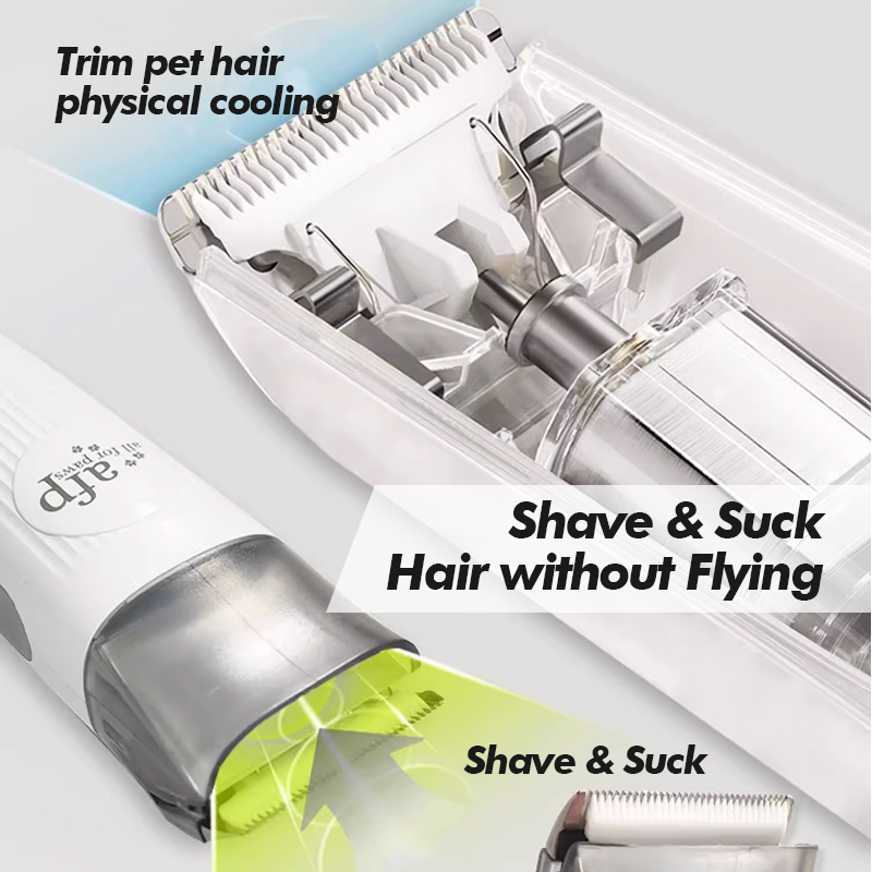 KINYU 7 In 1 Professional Cat  - Grooming Scissors review and price