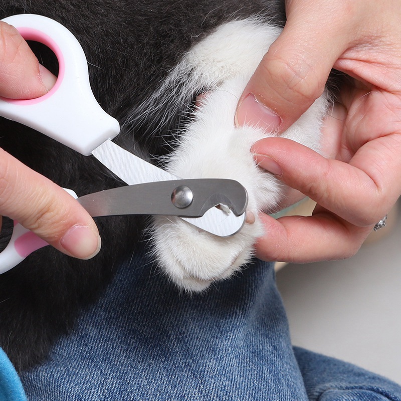 Pet Nail Care Scissors Pet Nai - Grooming Scissors review and price